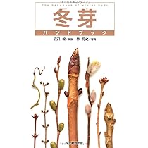 冬芽 冬芽ハンドブック | 広沢 毅, 林 将之 |本 | 通販 | Amazon